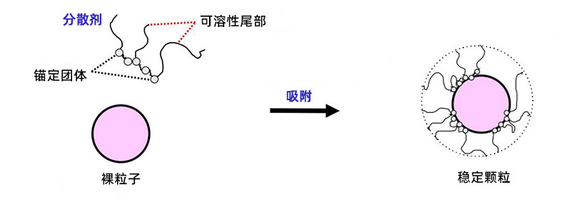 空间位阻分散剂稳定颗粒的示例