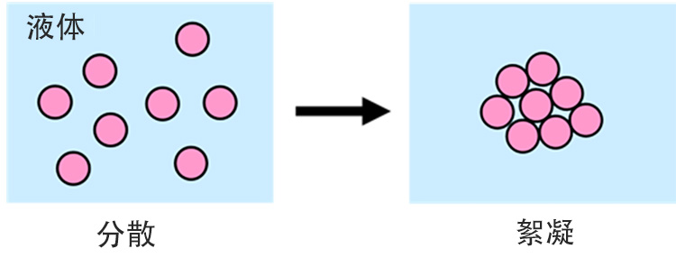 絮凝：固体颗粒在液体胶合中结合在一起